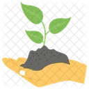 Hand Plantation Plantation Sprout Icon
