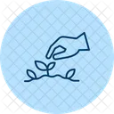 Hand Planting Seeds Hand Planting Icon