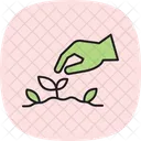 Hand Planting Seeds Hand Planting Icon