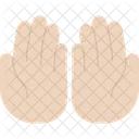 Hand Raiz Pray  Icon