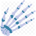 Hand Skeleton  Icon