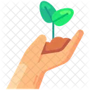 Hand sprout  Icon