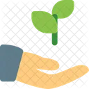 Hand To Plant Plant Care Plant Growth Icon