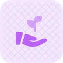 Hand To Plant Plant Care Plant Growth Icon