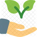 Hand To Plant Two Hand To Plant Plant Care Icon
