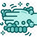 Hand washing  Icon