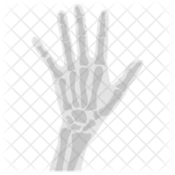 Hand X Ray  Icon