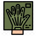 Hand X Ray Hand X Ray Icon