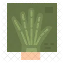 Hand X Ray Icon
