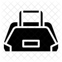 Handbag  Icon
