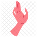 Hands gesture  Icon