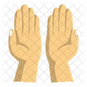 Hands Pray Icon