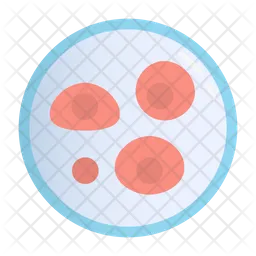 Zelle  Symbol
