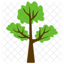 Hangman Elm Tree Icon