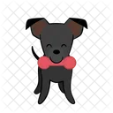 Toy Playing Dog Icon