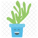 Happy Cactus Indoor Cacti Succulent Plant Icon