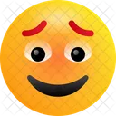 Happy Emoji Emoticons Icon