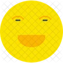 Happy Face  Icon