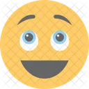 Happy Smiley  Icon