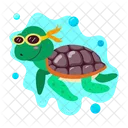 Turtle Cartoon Turtle Stickers Tortoise Cartoon Icon