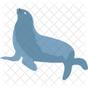 Animal Common Seal Harbor Seal Icon