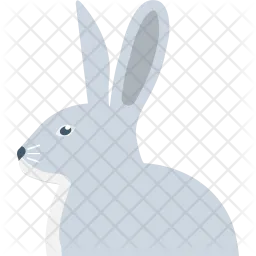 Hare  Icon