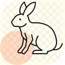 野ウサギ アイコン