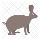 Hare Rabbit Savannah Icon