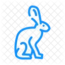 Hare  Icon