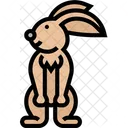Hare Rabbit Rodent Icon