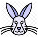 Hare Rabbit Animal Icon