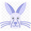 Hare Rabbit Animal Icon