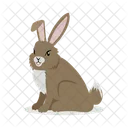 Hare Rabbit Hare Isolated Icon