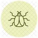 Harlequin Insect Ladybug Icon
