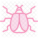 Harlequin Insect Ladybug Icon