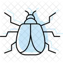Harlequin Insect Ladybug Icon