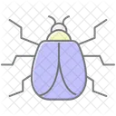 Harlequin Insect Ladybug Icon