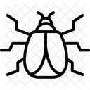 Harlequin Insect Ladybug Icon