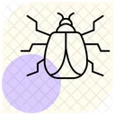 Harlequin Insect Ladybug Icon