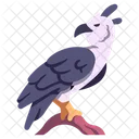 Harpy Eagle Papuan Eagle Eagle Icon