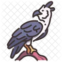 Harpy Eagle Papuan Eagle Eagle Icon