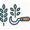 収穫、葉、大麦 アイコン