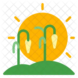 Harvest  Icon