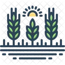Harvest Wheat Crop Icon