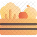 Harvest Box  Icon
