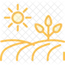 Harvest Field Harvest Field Icon