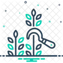 Harvest Reaping Ingathering Icon