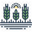 Harvest Wheat Crop Icône