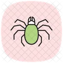 Harvestman Insect Arachnid Icon