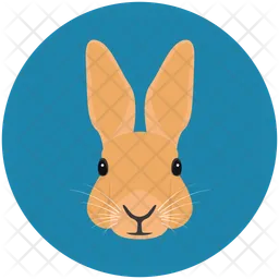 Hase  Symbol